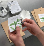 Garden in a Bag | Basil | Best Seller Kitchen Garden Gift