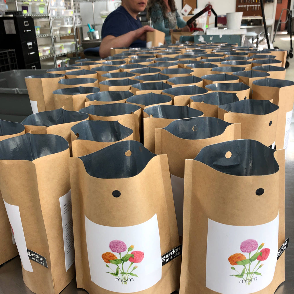 Garden in a Bag | Mom | Spring Gift | Best Seller