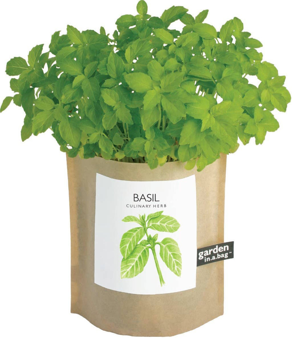 Garden in a Bag | Basil | Best Seller Kitchen Garden Gift