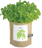 Garden in a Bag | Basil | Best Seller Kitchen Garden Gift