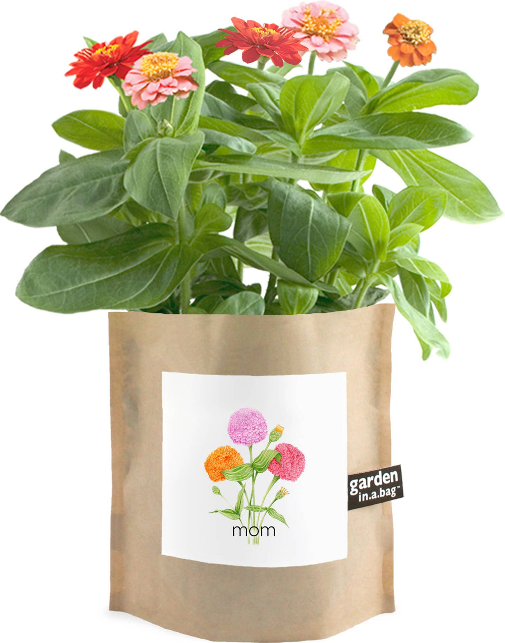 Garden in a Bag | Mom | Spring Gift | Best Seller
