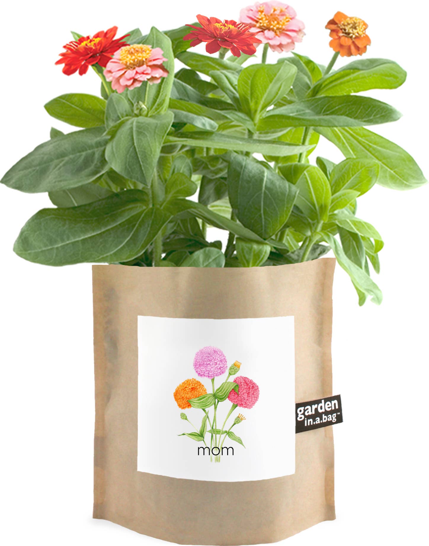 Garden in a Bag | Mom | Spring Gift | Best Seller