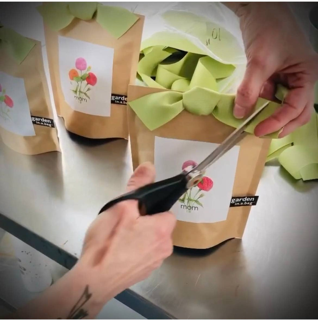 Garden in a Bag | Mom | Spring Gift | Best Seller