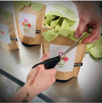 Garden in a Bag | Mom | Spring Gift | Best Seller