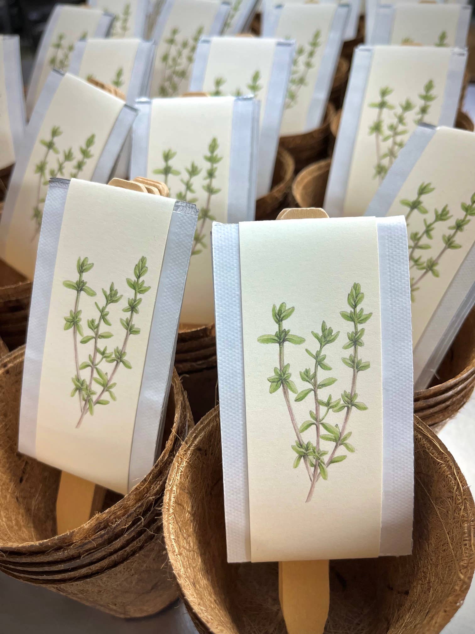 NEW Culinary Herb Garden Box | Thoughtful Gift| Spring