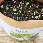 Garden in a Bag | Basil | Best Seller Kitchen Garden Gift