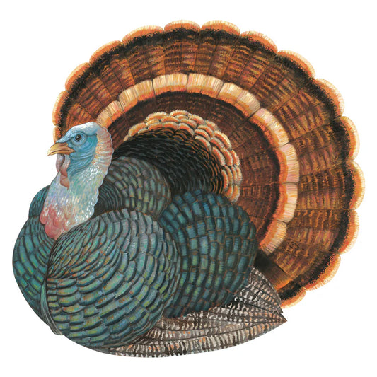 Turkey Placemat