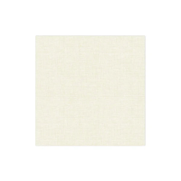 Papersoft Napkins Dinner Napkins (Pack of 20)