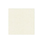 Papersoft Napkins Cocktail Napkins (Pack of 20)