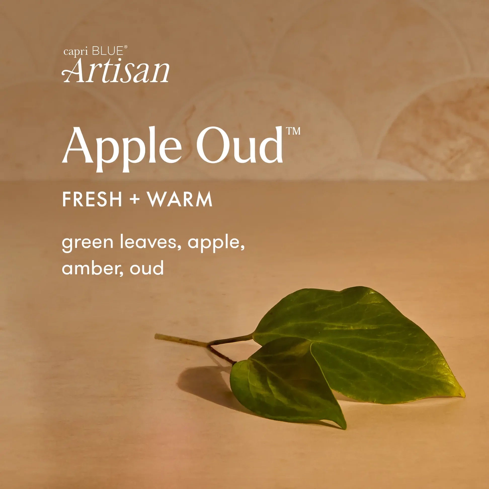 Apple Oud Radiance Petite Candle