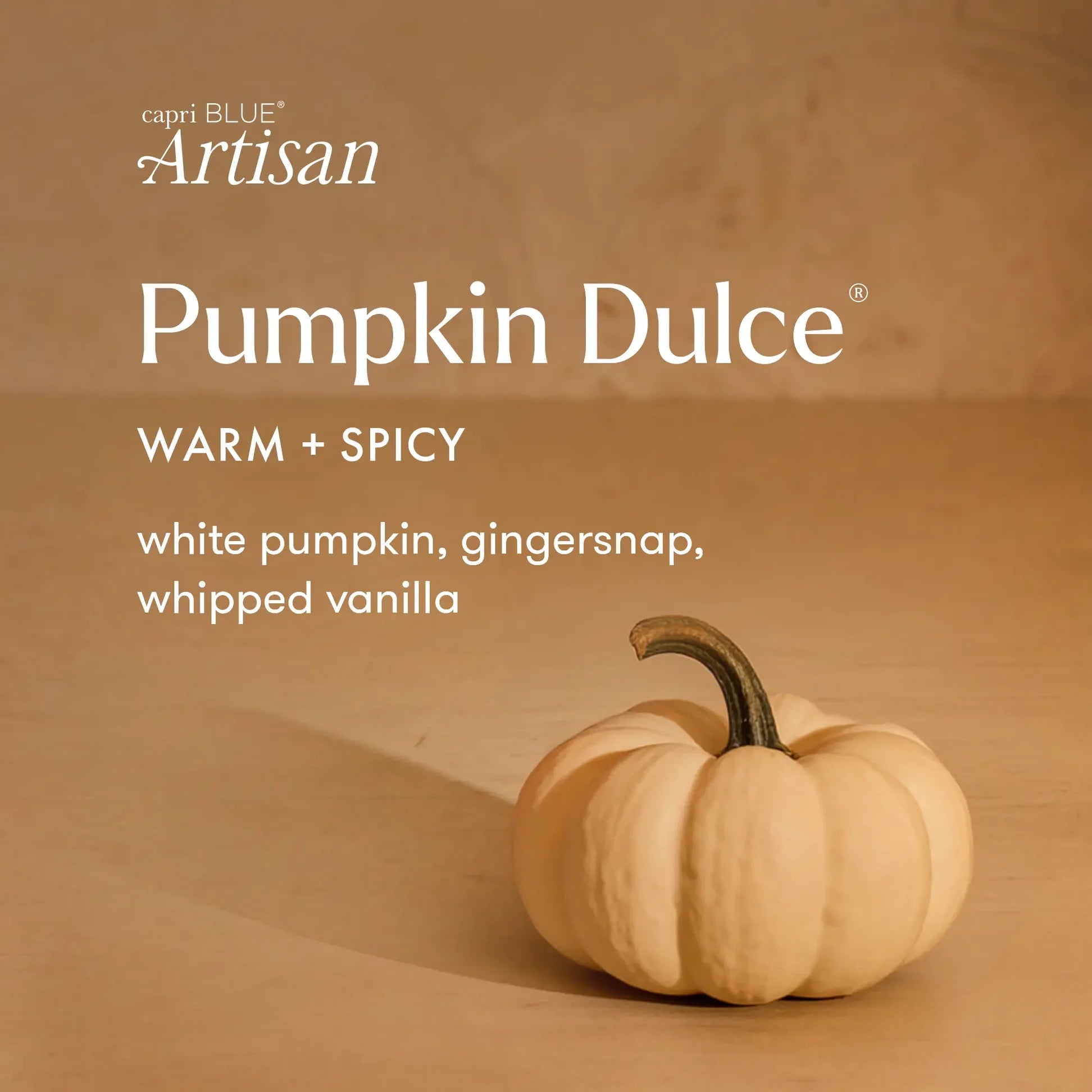 Pumpkin Dulce Radiance Petite Candle