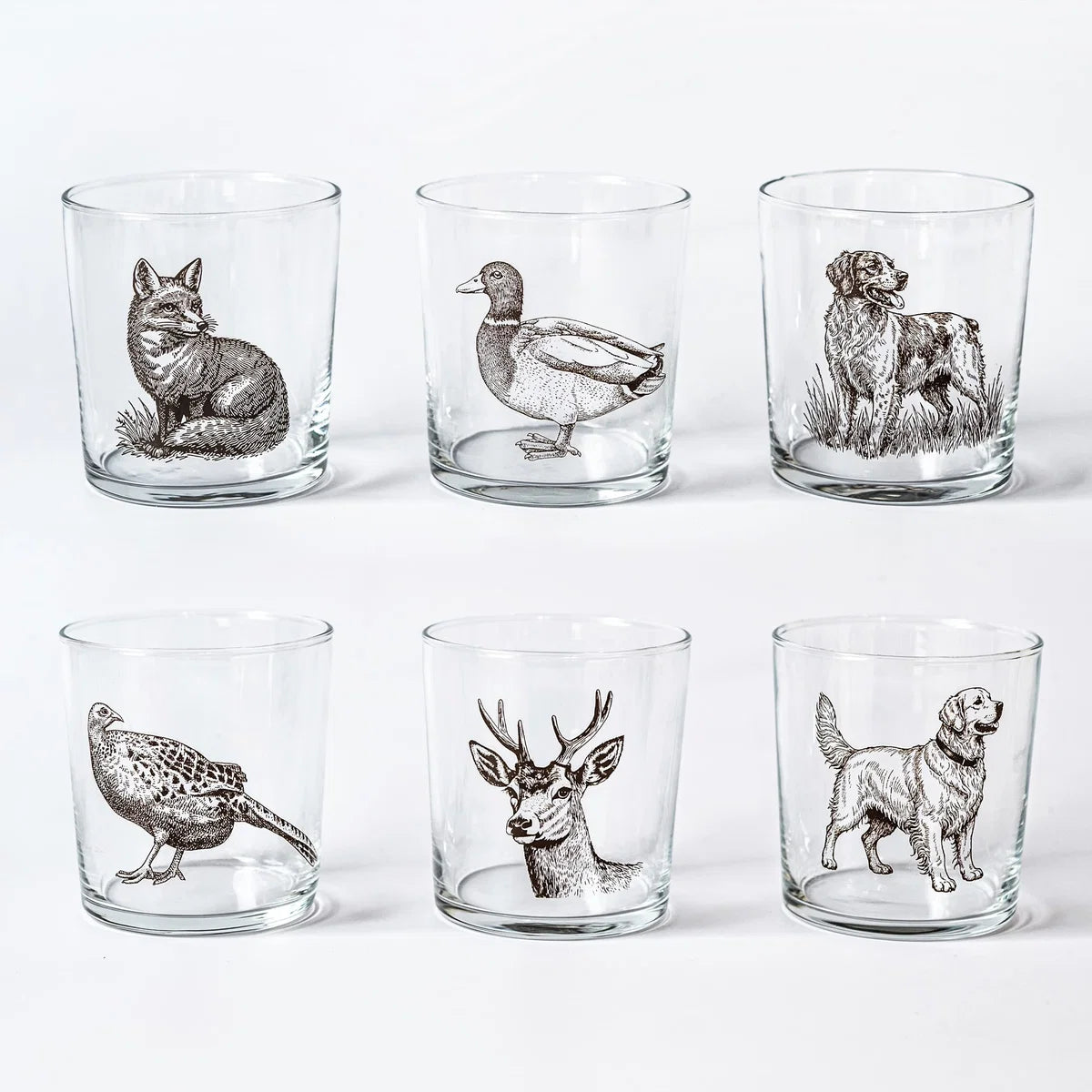 Wildlife Assorted Tumblers - Set Of 6