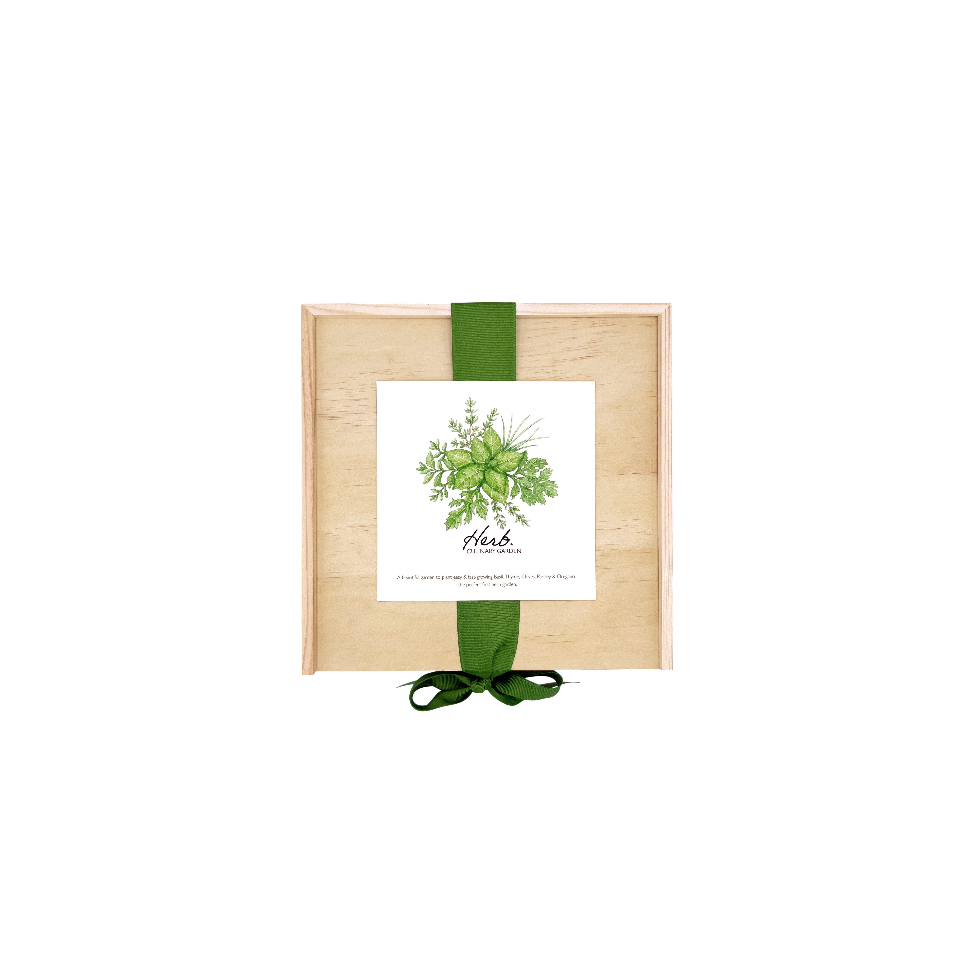 NEW Culinary Herb Garden Box | Thoughtful Gift| Spring
