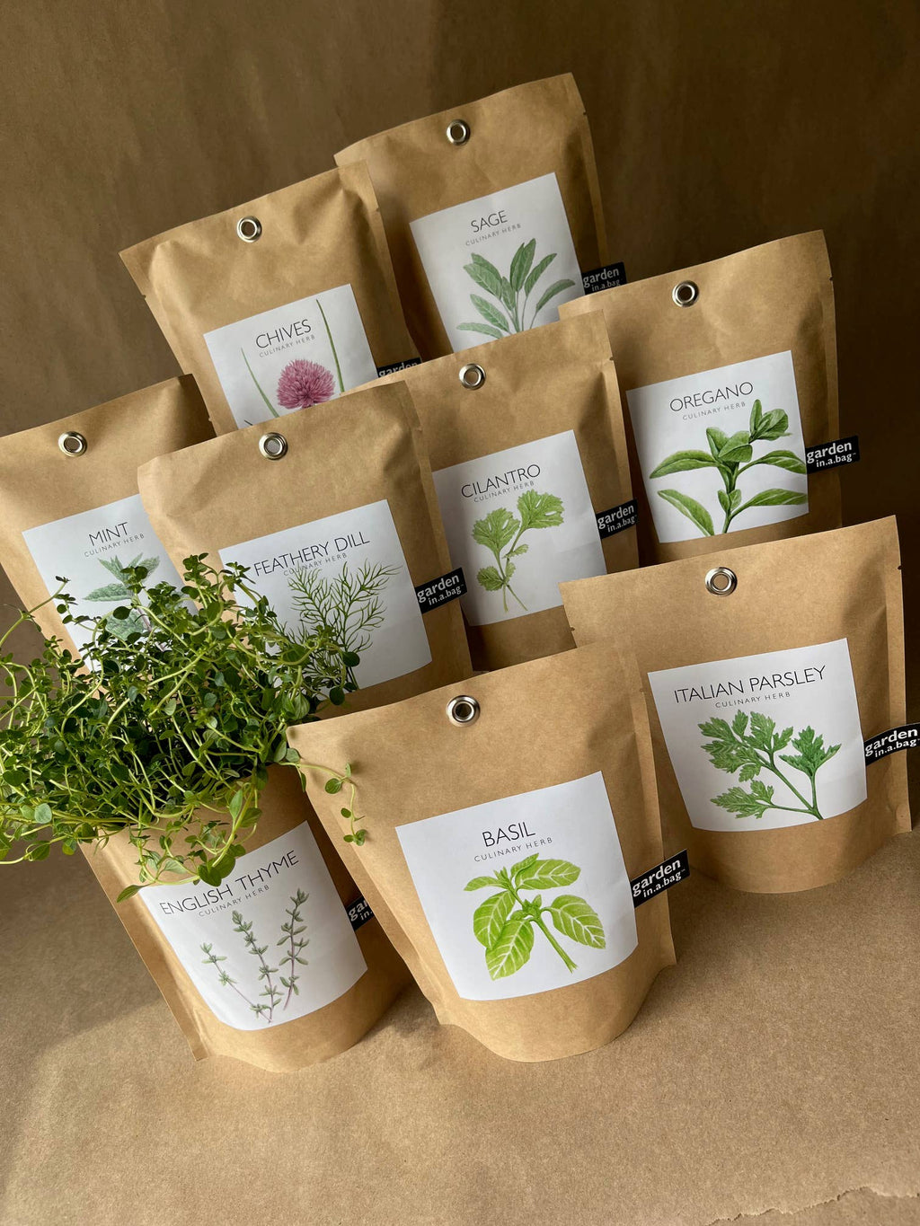 Garden in a Bag | Basil | Best Seller Kitchen Garden Gift