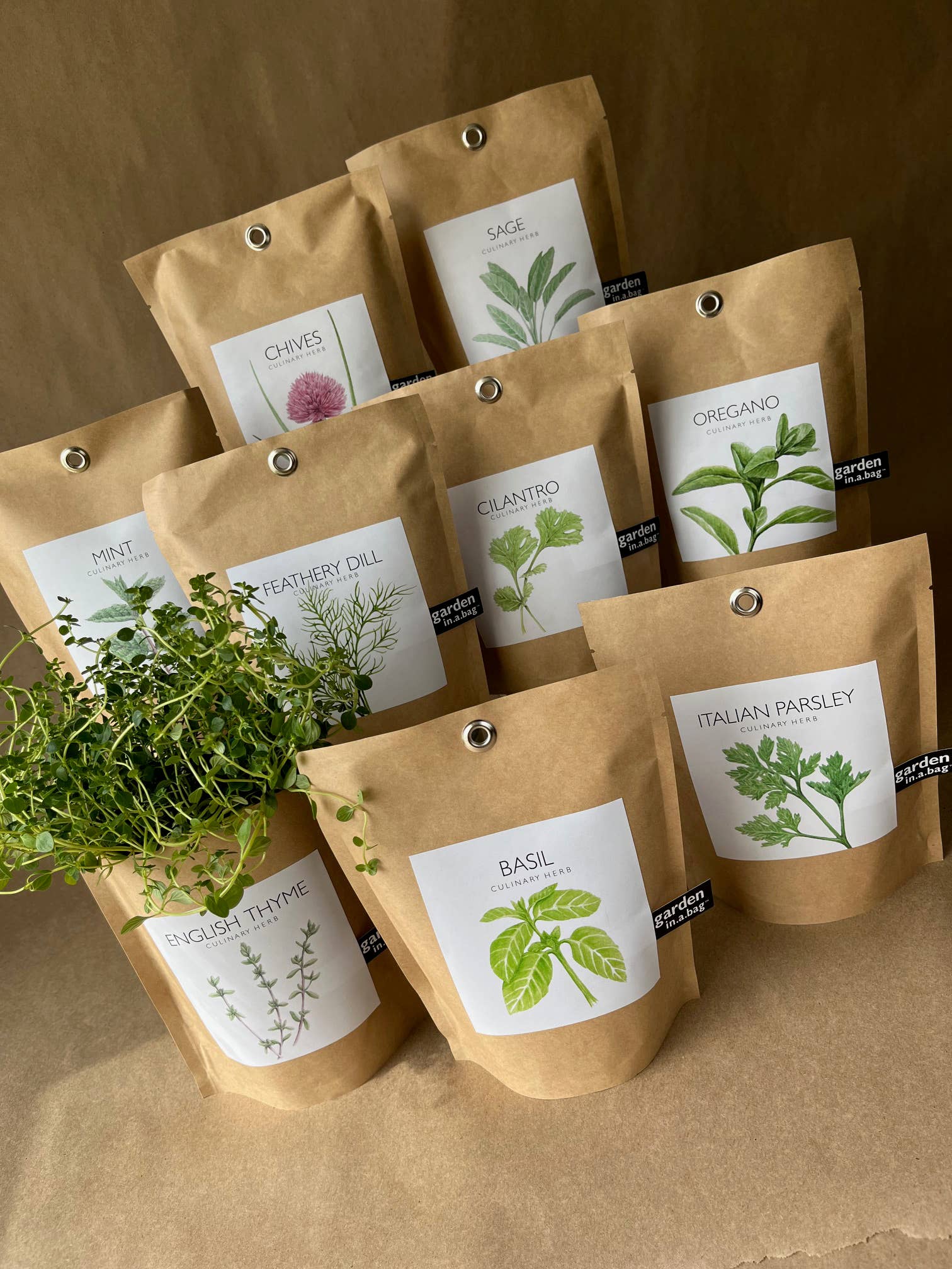 Garden in a Bag | Basil | Best Seller Kitchen Garden Gift