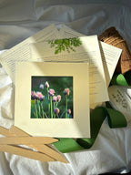 NEW Culinary Herb Garden Box | Thoughtful Gift| Spring