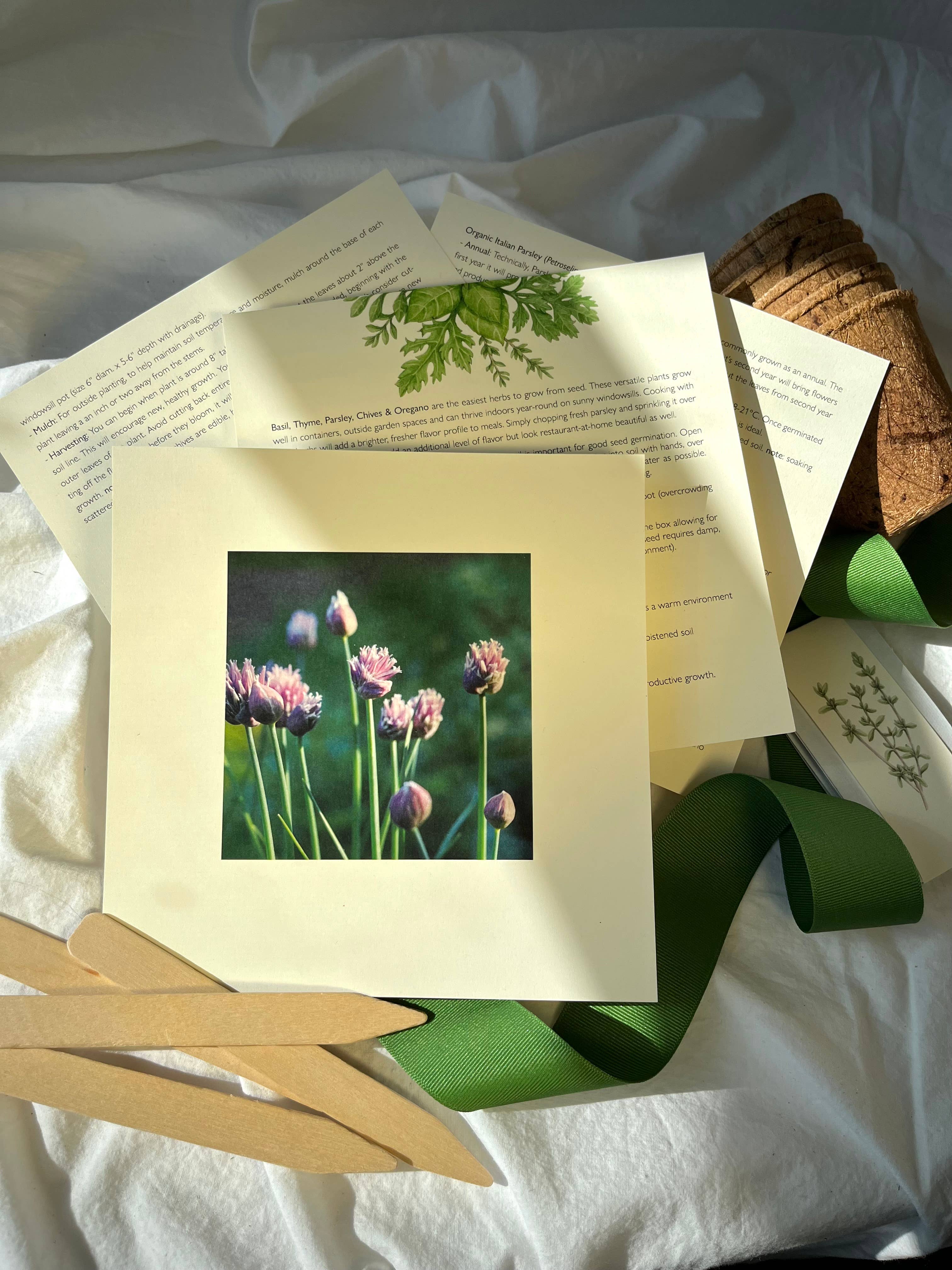 NEW Culinary Herb Garden Box | Thoughtful Gift| Spring