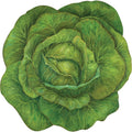Die Cut Cabbage Placement - 12