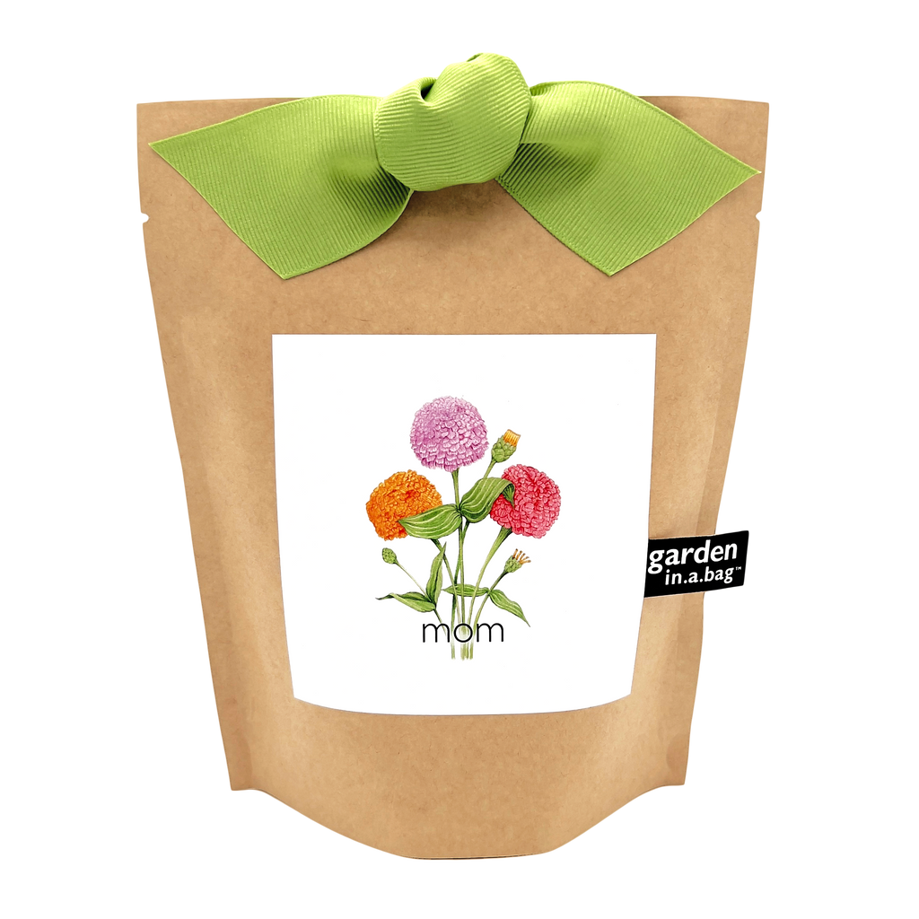Garden in a Bag | Mom | Spring Gift | Best Seller